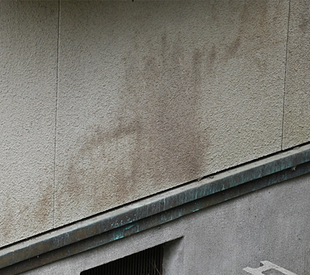 雨だれ跡や全体の色あせ